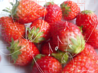 uFresh strawberryv@܂̃PCJl BeEʐ^